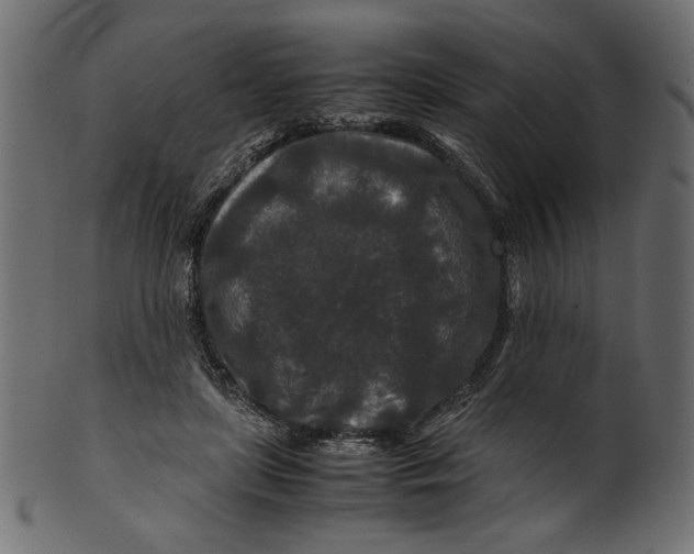 X0000100880451200807181303