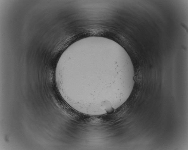 X0000100880456200807181303