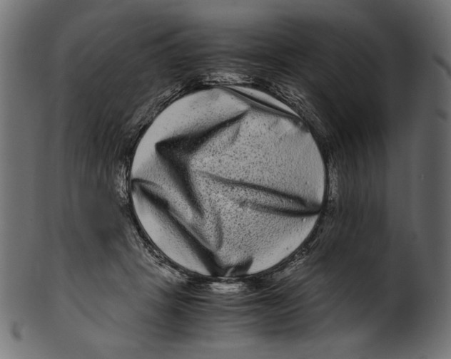 X0000100880457200807181303