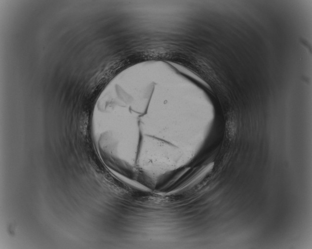 X0000100880458200807181303