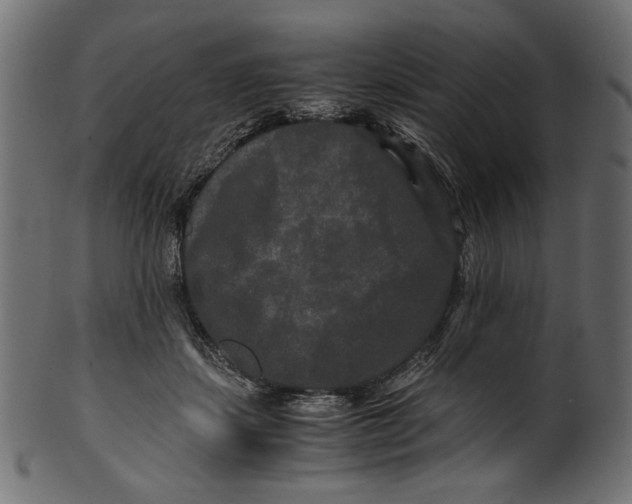 X0000100880459200807181303