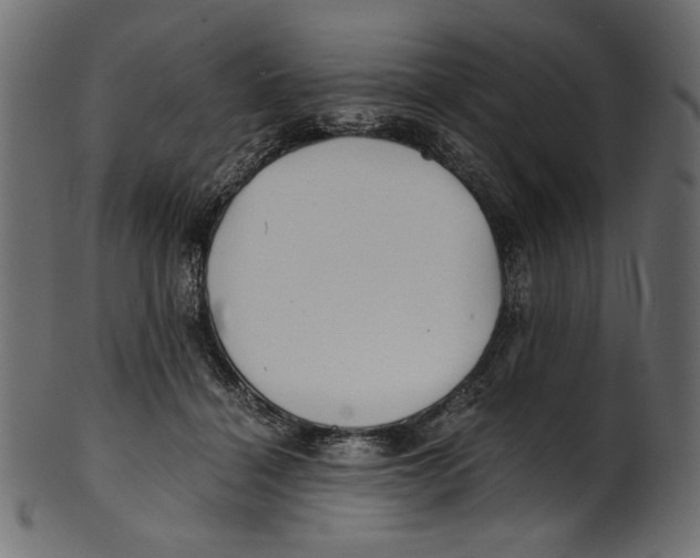 X0000100880460200807181303