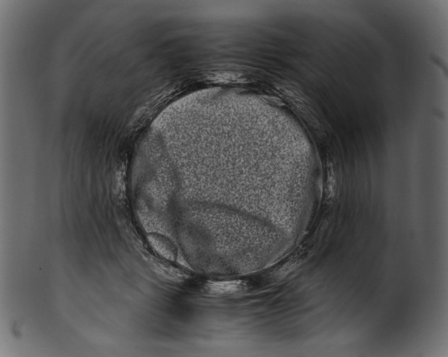 X0000100880461200807181303