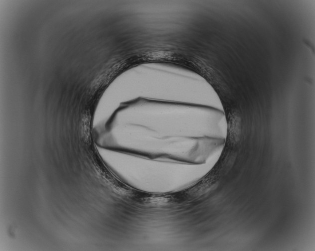 X0000100880462200807181303