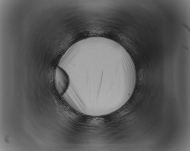 X0000100880463200807181303