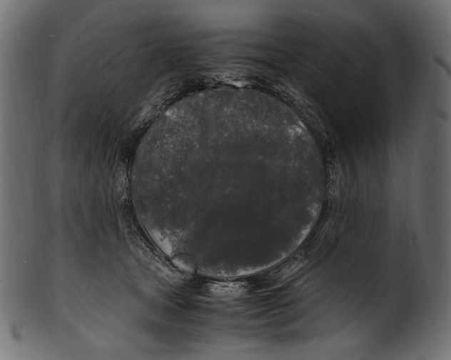 X0000100880465200807181303