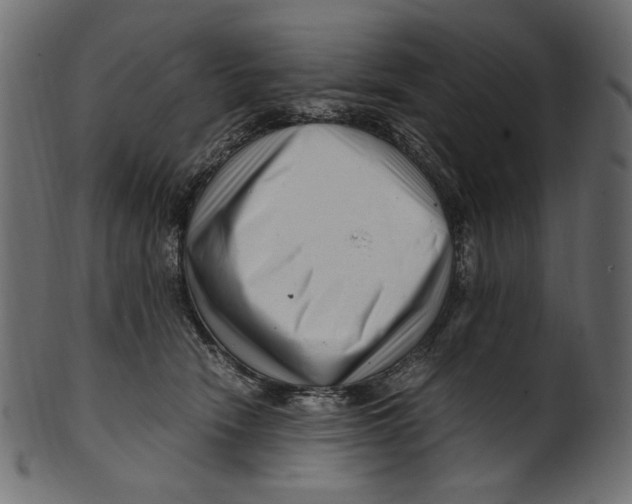 X0000100880466200807181303