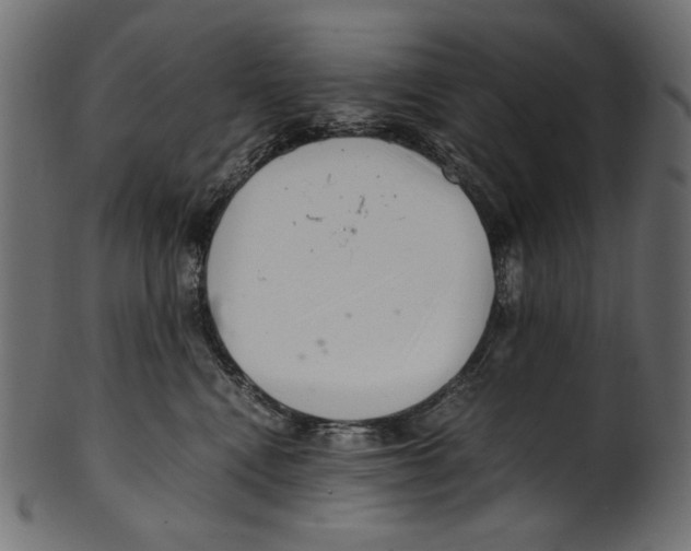 X0000100880472200807181303