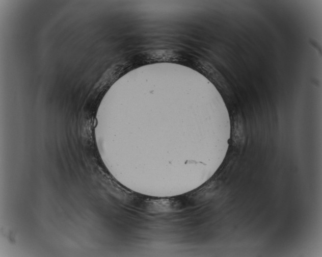 X0000100880473200807181303