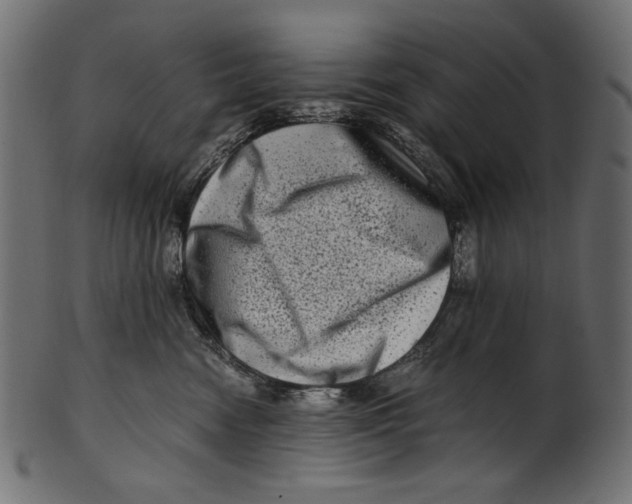 X0000100880474200807181303