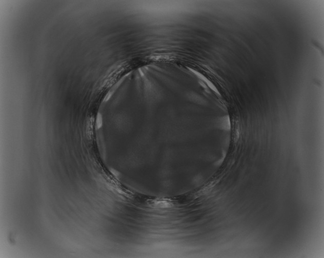 X0000100880475200807181303