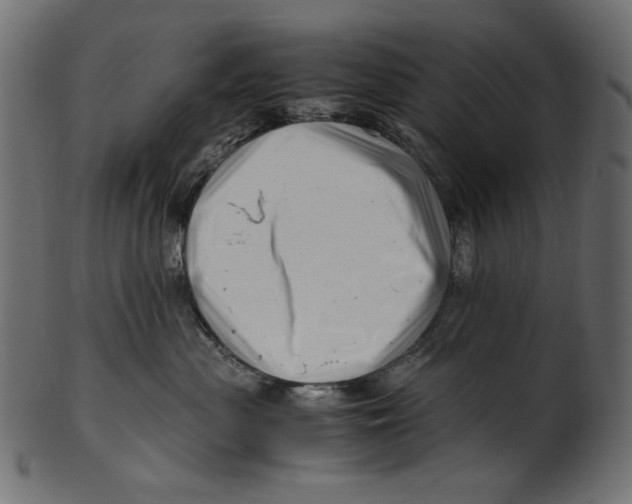 X0000100880477200807181303