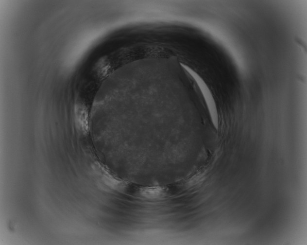 X0000100880479200807181303