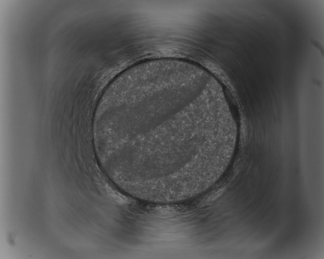 X0000100880481200807181303