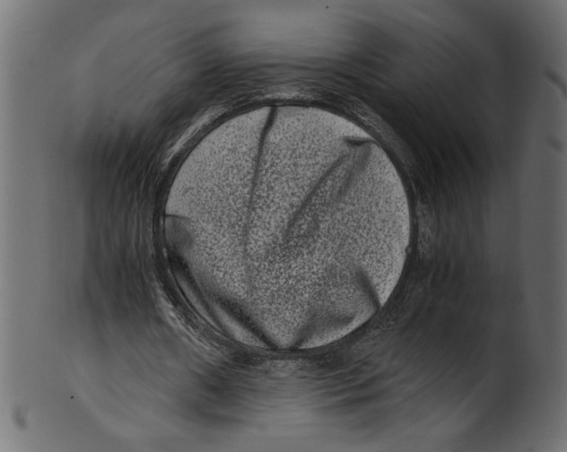 X0000100880482200807181302