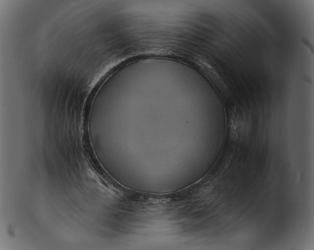 X0000100880484200807181302