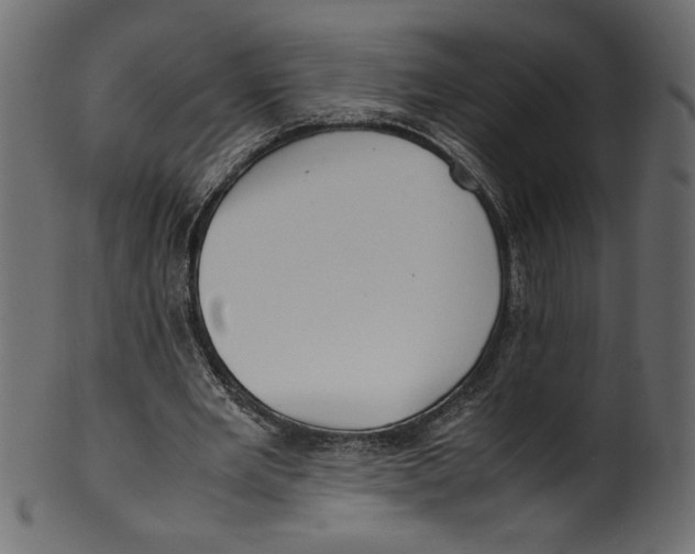 X0000100880485200807181302