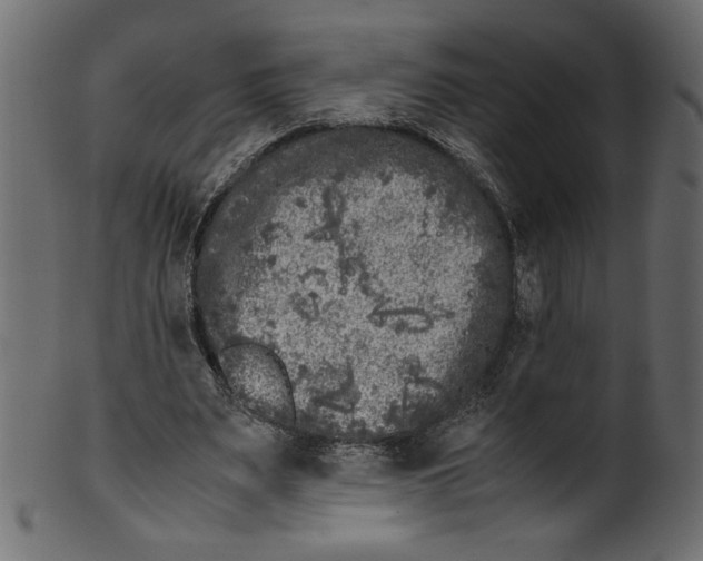 X0000100880487200807181302