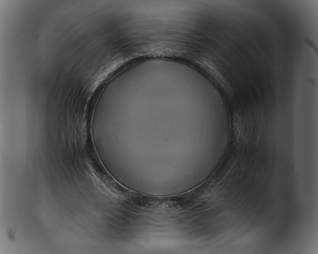 X0000100880488200807181302