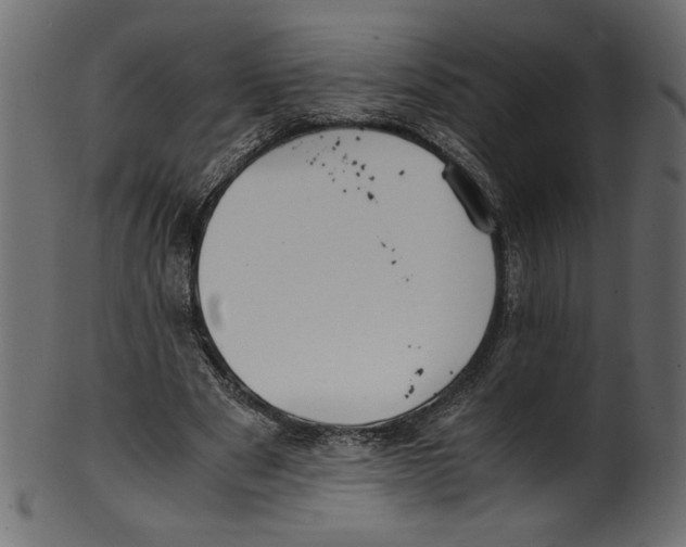 X0000100880489200807181302