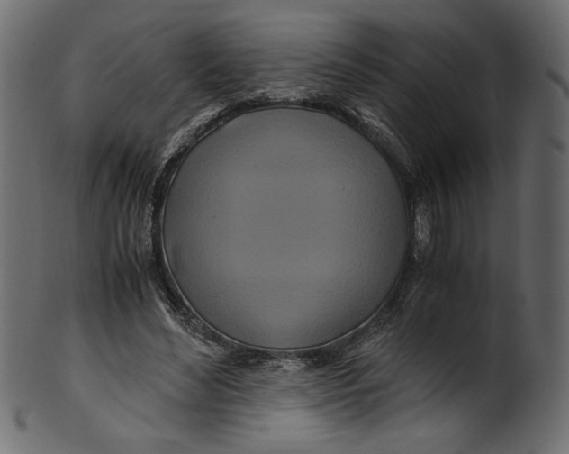 X0000100880492200807181302