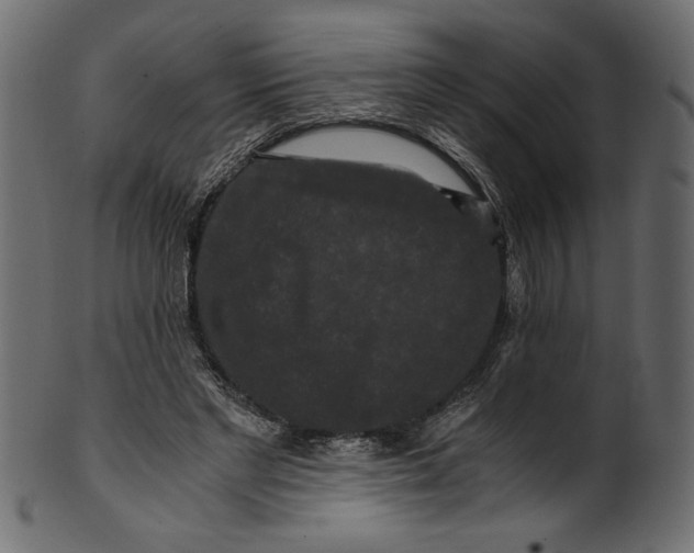 X0000100880493200807181302