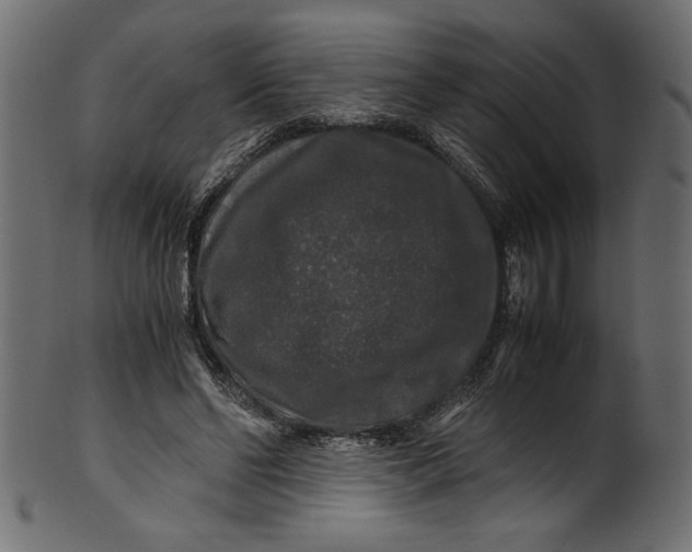 X0000100880494200807181302