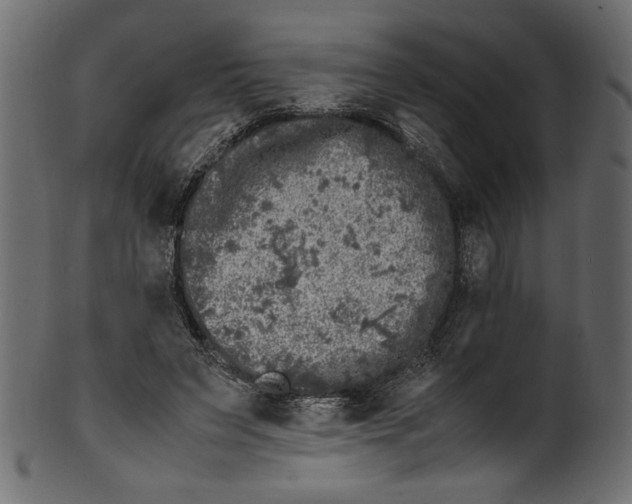 X0000100880495200807181302