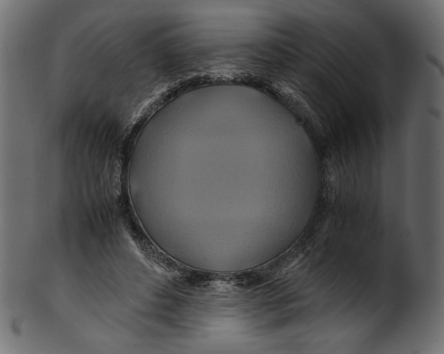 X0000100880496200807181302