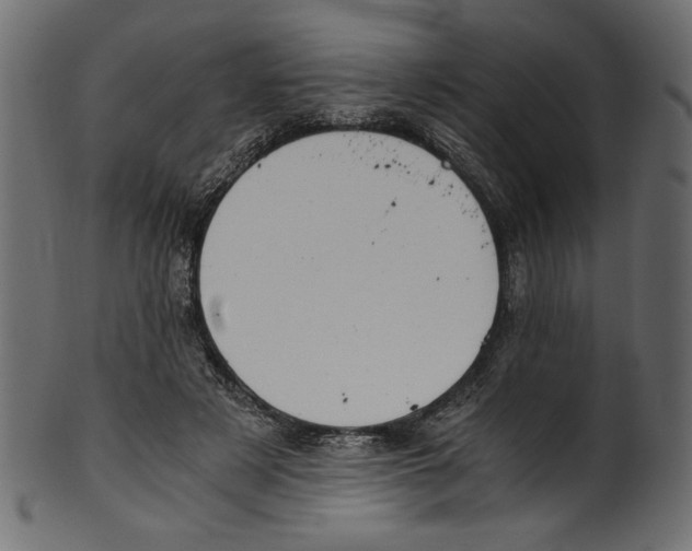 X0000100880497200807181302