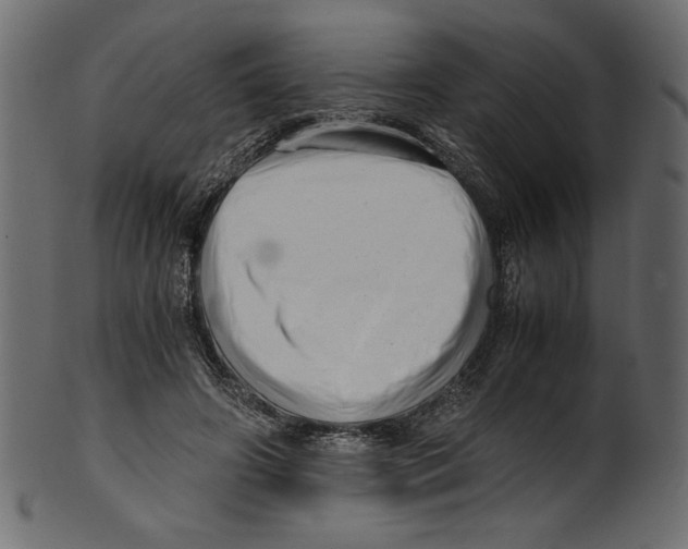 X0000100880498200807181302