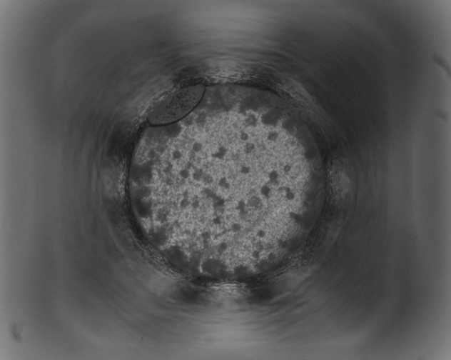 X0000100880499200807181302