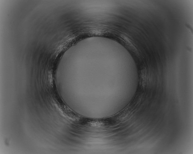 X0000100880500200807181302