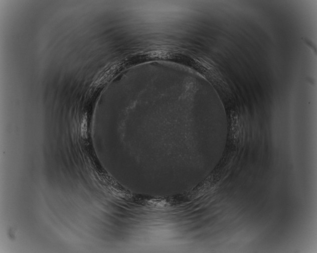 X0000100880502200807181302