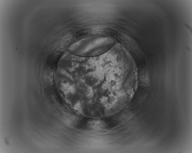 X0000100880503200807181302