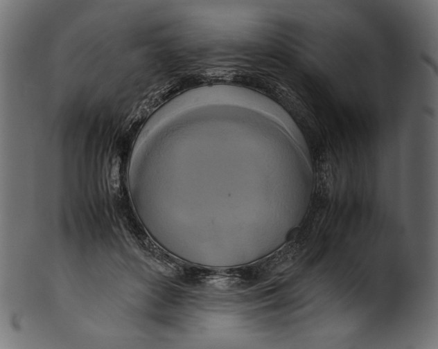 X0000100880504200807181302