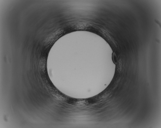 X0000100880505200807181302