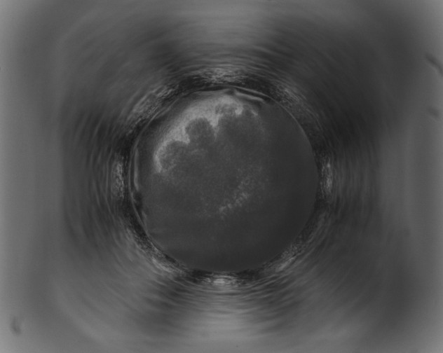 X0000100880506200807181302