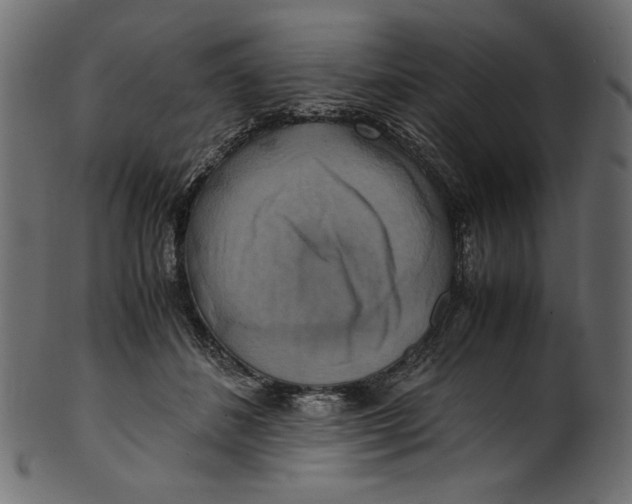 X0000100880508200807181302