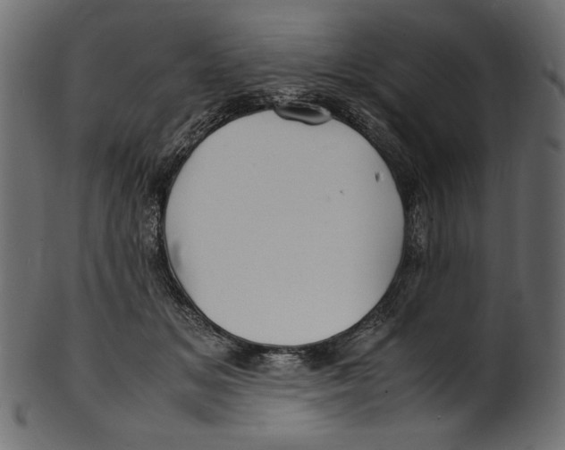 X0000100880509200807181302