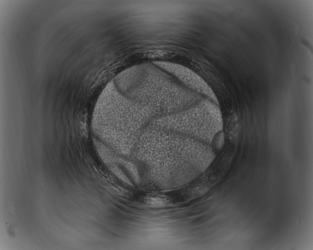 X0000100880510200807181302