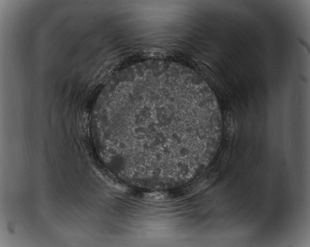 X0000100880511200807181302