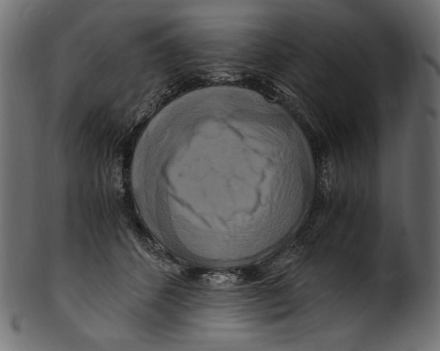 X0000100880512200807181302