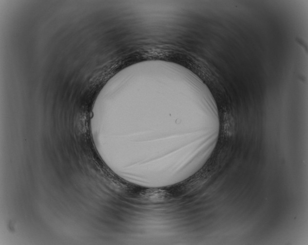 X0000100880514200807181302