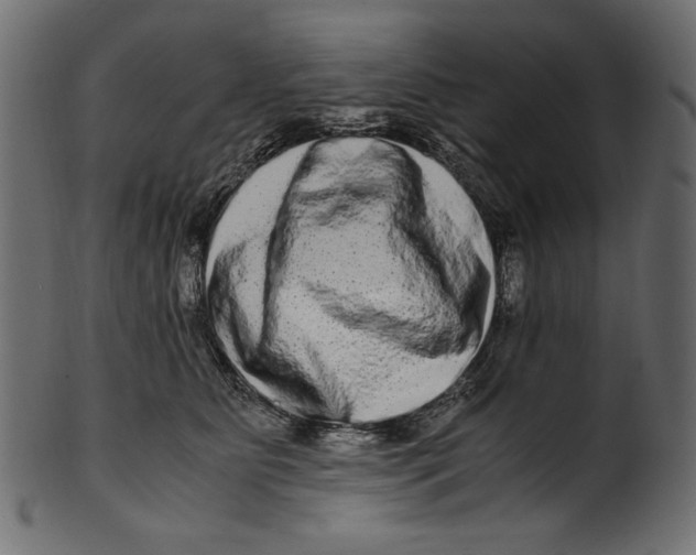 X0000100880515200807181302