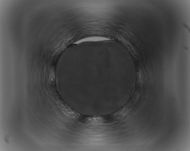 X0000100880517200807181302