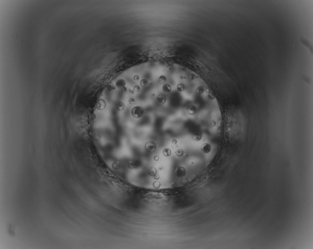 X0000100880519200807181302