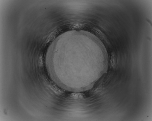 X0000100880520200807181302