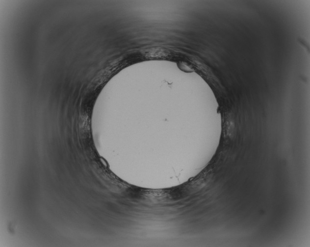 X0000100880521200807181302