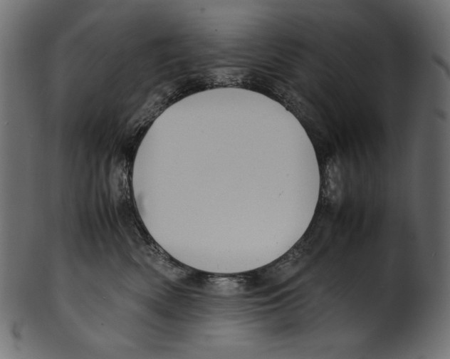 X0000100880522200807181302